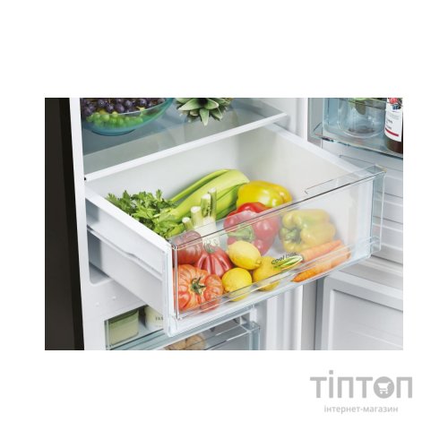 Холодильник Candy CCT3L517EB