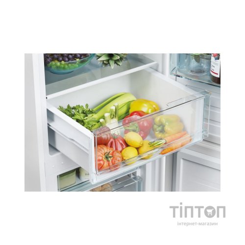 Холодильник Candy CCT3L517EW