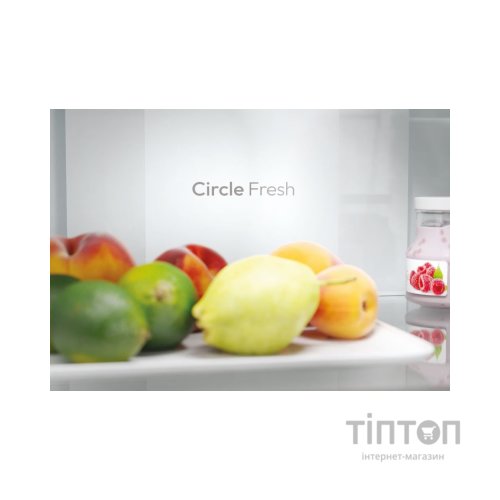 Холодильник Candy CNCQ2T618EB