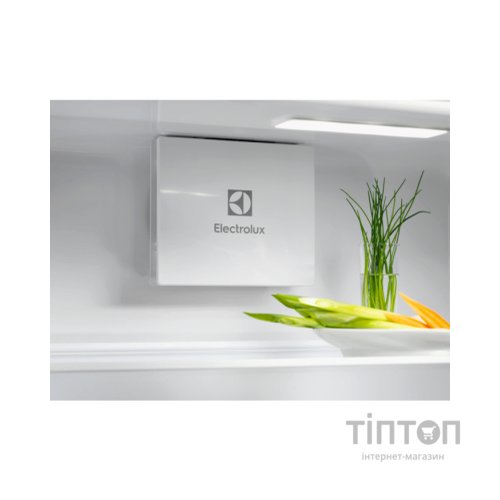 Холодильник Electrolux ERD6DE18S4