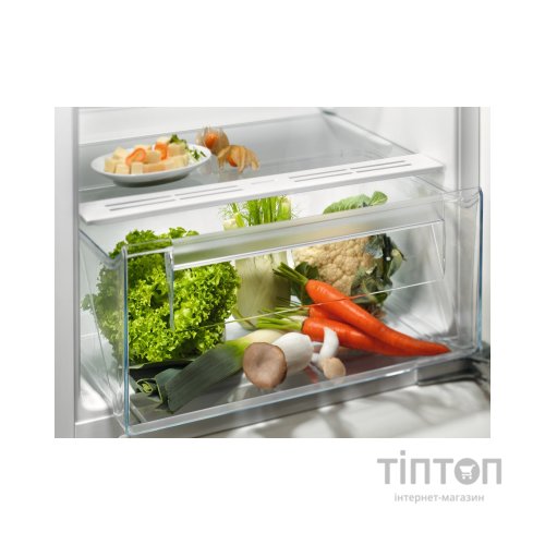 Холодильник Electrolux LFB3AE12S1