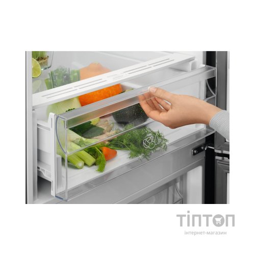 Холодильник Electrolux LNT5ME36U1