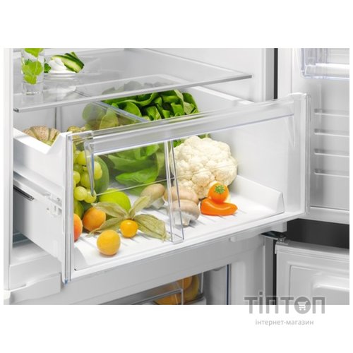 Холодильник Electrolux RNT6TE19S