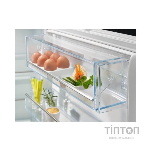 Холодильник Electrolux RNT6TE19S0