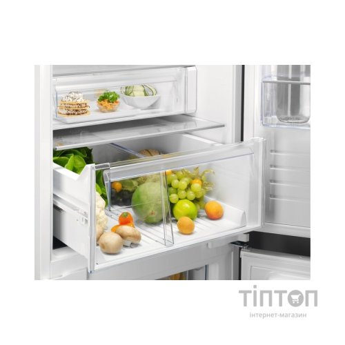 Холодильник Electrolux RNT6TE19S0
