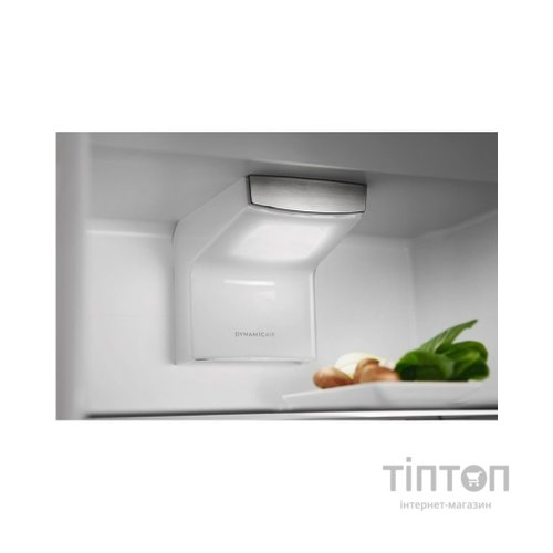 Холодильник Electrolux RNT6TE19S0