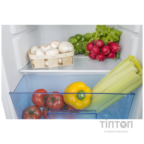 Холодильник ERGO MR-130