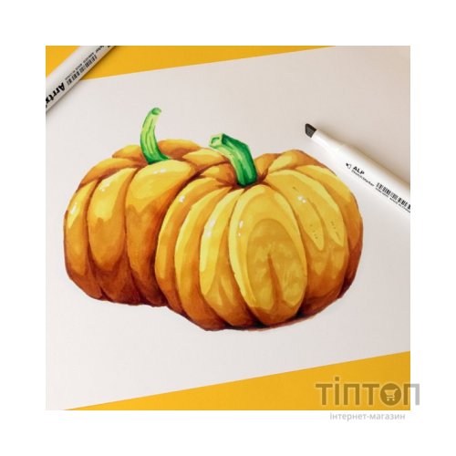 Художній маркер Arrtx Спиртові Alp ASM-02YL 40 кольорів Жовтий тон шкіри шкіри (LC302185)