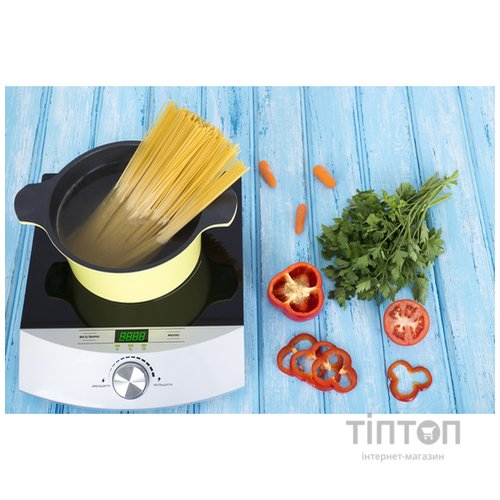 Індукційна плита ERGO IHP-1606