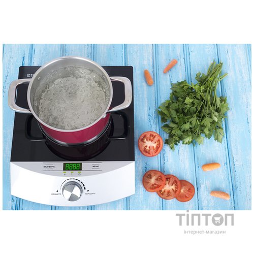 Індукційна плита ERGO IHP-1606