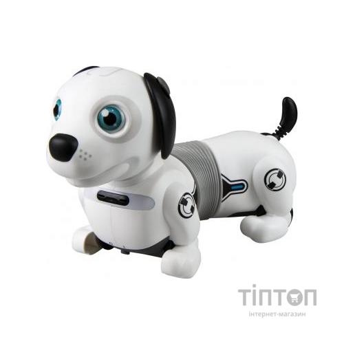 Інтерактивна іграшка Silverlit робот-собака DACKEL JUNIOR (88578)