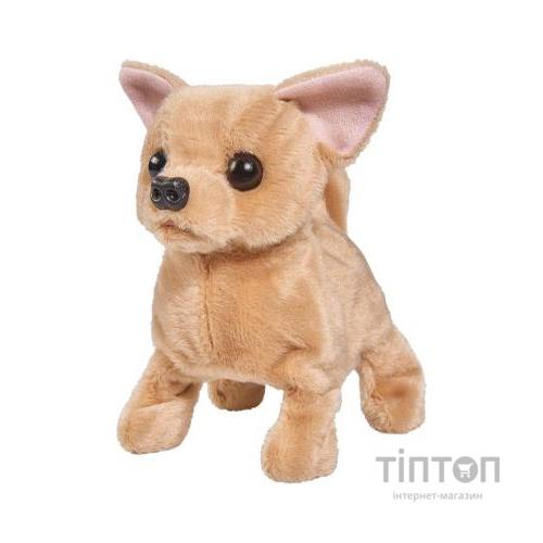 Інтерактивна іграшка Simba Chi Chi Love Чихуахуа Маленьке щеня (5893236)