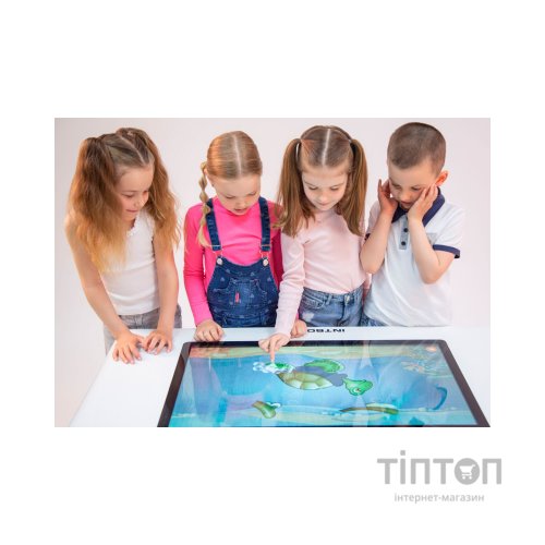Інтерактивний стіл Intboard STYLE 43 white i5-1145G7/16 Gb/SSD 256 Gb (10590010)