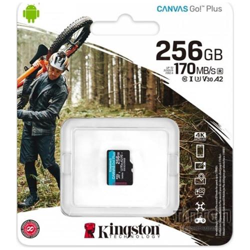Карта пам'яті Kingston 256GB microSDXC class 10 A2 U3 V30 Canvas Go Plus (SDCG3/256GBSP)