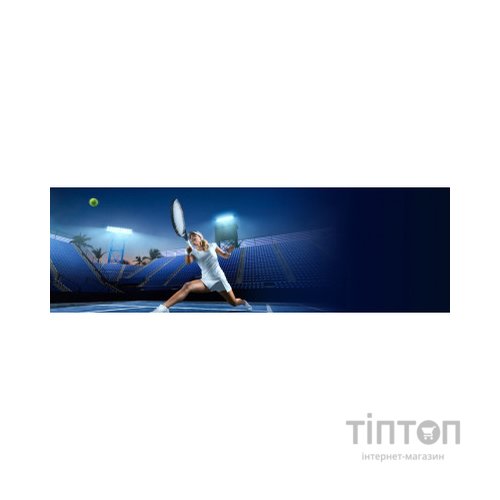 Карта пам'яті Transcend 256GB SD class 10 UHS-I U3 4K (TS256GSDC340S)