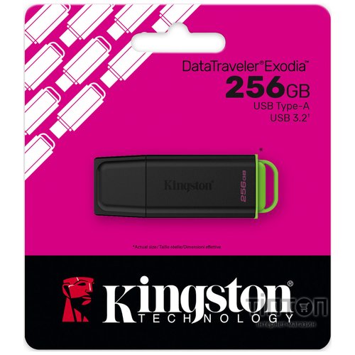 KINGSTON DTXG2/256GB
