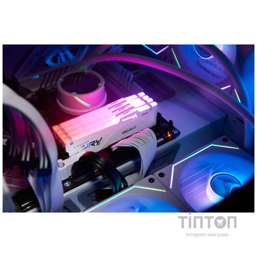 KINGSTON KF560C36BWE2AK2-32