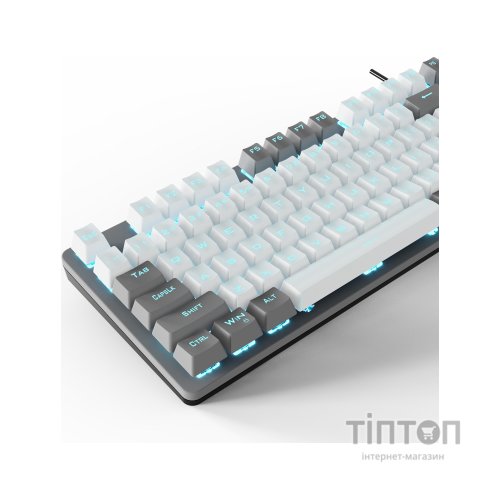 Клавіатура Aula F3287 Keycap KRGD Blue USB UA White/Grey (6948391240688)