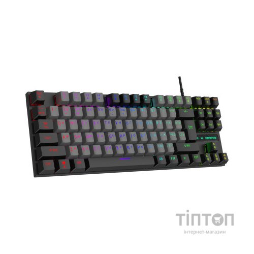 Клавіатура GamePro MK100B Blue Switch LED USB Black (MK100B)