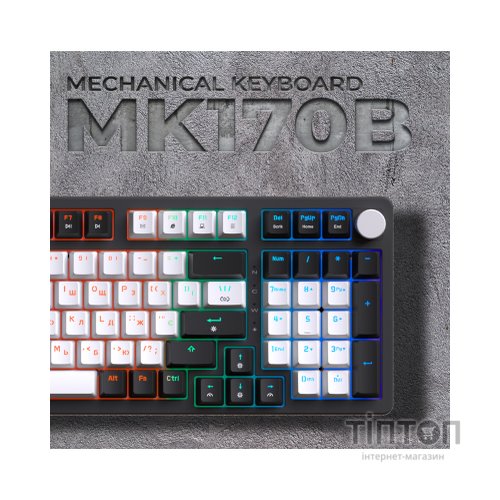Клавіатура GamePro MK170B Hot-Swap Red Swich RGB USB UA Black (MK170B)