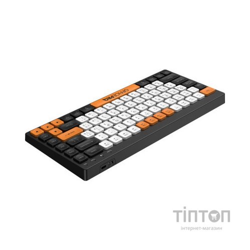 Клавіатура OfficePro SK955B Wireless/Bluetooth Black (SK955B)