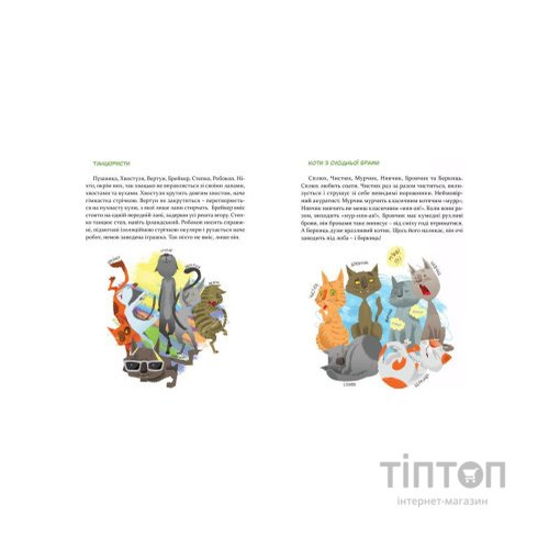 Книга 36 і 6 котів. Книга 1 - Галина Вдовиченко Видавництво Старого Лева (9786176791294)