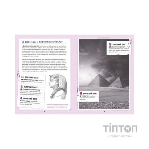 Книга 501 факт, який треба знати з... історії - Елісон Реттл Видавництво Старого Лева (9786176798736)