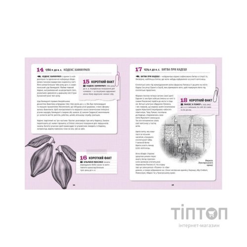 Книга 501 факт, який треба знати з... історії - Елісон Реттл Видавництво Старого Лева (9786176798736)