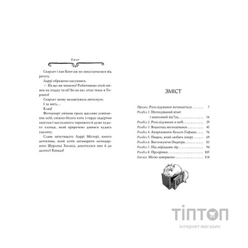 Книга Агата Містері. Крадіжка на Ніагарському водоспаді. Книга 4 - Сер Стів Стівенсон Видавництво РМ (9786178248345)