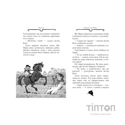 Книга Агата Містері. Розслідування у Ґранаді (Троянда Альгамбри). Книга 12 - Сер Стів Стівенсон Видавництво РМ (9786178248512)