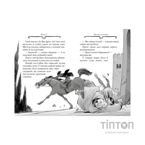 Книга Агата Містері. Розслідування у Ґранаді (Троянда Альгамбри). Книга 12 - Сер Стів Стівенсон Видавництво РМ (9786178248512)