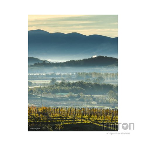 Книга Amber Revolution. Як світ закохався в оранжеве вино - Саймон Вулф, Раян Опаз Yakaboo Publishing (9786177544493)