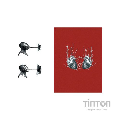 Книга Бог свободи - Юлія Мусаковська Видавництво Старого Лева (9786176799023)