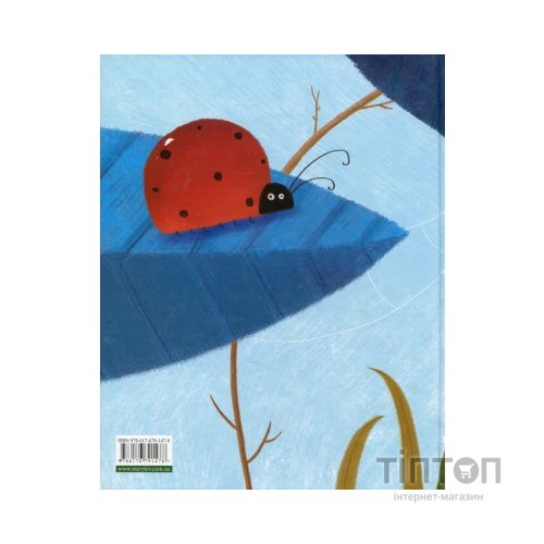 Книга Босоніжки для стоніжки - Мар'яна Савка Видавництво Старого Лева (9786176791478)