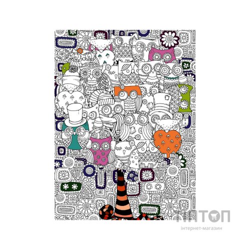 Книга COLOR ZEN. Ловець снів Vivat (9789669828156)
