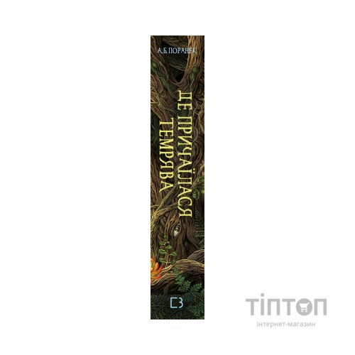 Книга Де причаїлася темрява - А.Б. Поранек BookChef (9786175484838)