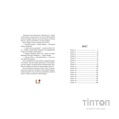 Книга Детектив Блюмквіст ризикує. Книга 2 - Астрід Ліндґрен Видавництво РМ (9786178639808)