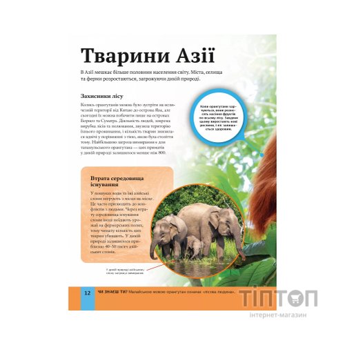 Книга Дитяча енциклопедія довкілля Vivat (9786171704831)