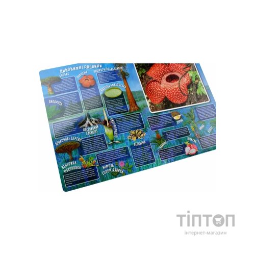 Книга Дивовижний світ Vivat (9789669822611)
