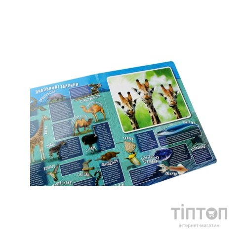 Книга Дивовижний світ Vivat (9789669822611)