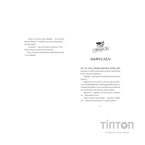 Книга Фестерґрімм - Томас Тейлор Видавництво Старого Лева (9789664481769)
