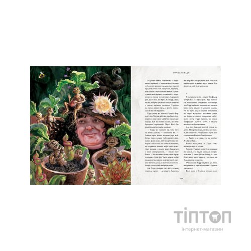 Книга Гаррі Поттер і таємна кімната. Велике ілюстроване видання - Джоан Ролінґ А-ба-ба-га-ла-ма-га (9786175851135)