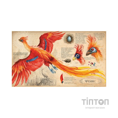 Книга Гаррі Поттер і таємна кімната. Велике ілюстроване видання - Джоан Ролінґ А-ба-ба-га-ла-ма-га (9786175851135)