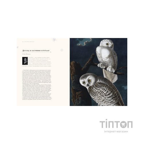 Книга Гаррі Поттер. Історія магії. Велике ілюстроване видання - Джоан Ролінґ А-ба-ба-га-ла-ма-га (9786175851685)