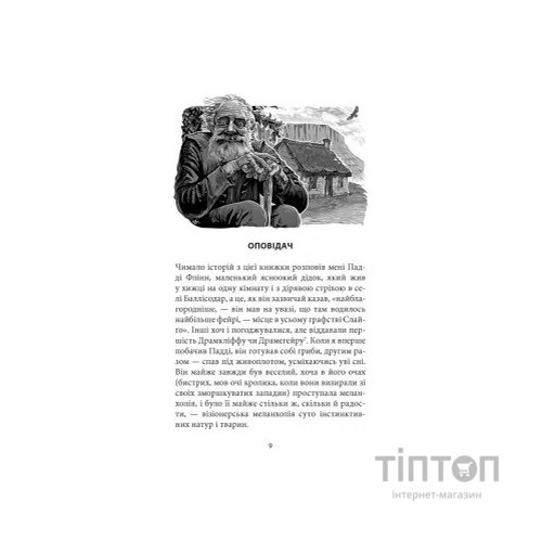 Книга Кельтські сутінки - Вільям Батлер Єйтс Астролябія (9786176642589)