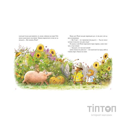 Книга Кіт-лікар. Заблукала вівця. Книга 1 - Валько Видавництво РМ (9786178639662)