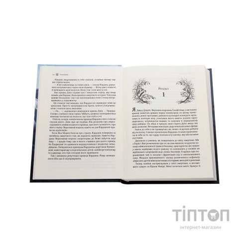 Книга Королева порожнечі - Голлі Блек Vivat (9789669822000)