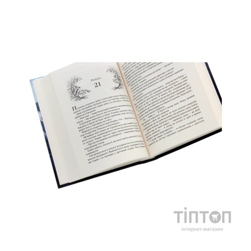 Книга Королева порожнечі - Голлі Блек Vivat (9789669822000)