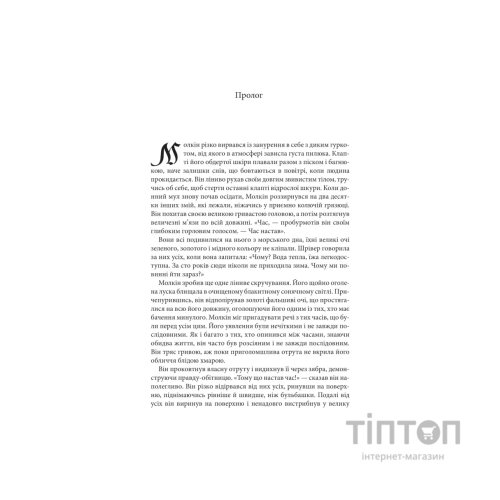 Книга Магічний корабель. Торговці з живих кораблів. Книга 1 - Робін Гобб КСД (9786171514164)