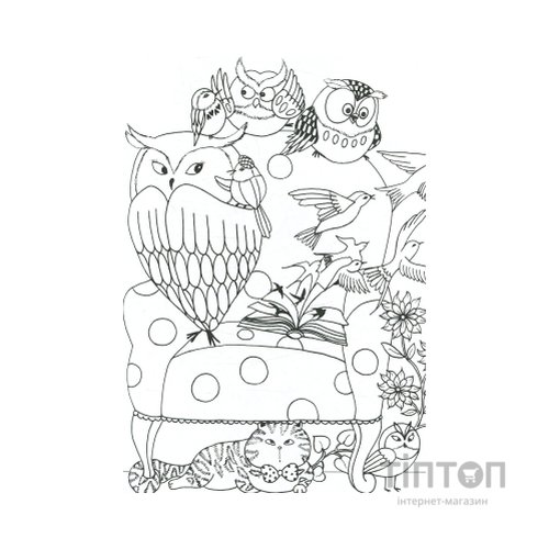 Книга Майже мільйон сов - Лулу Майо Жорж (9786177579006)